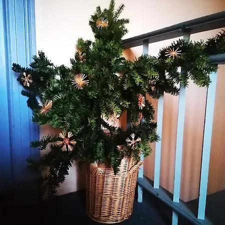 Only For Real Non-smokers بيت ضيافة دريسدن