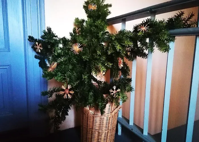 Drei Individuelle Villen-Zimmer Fuer Echte Nichtraucher Konukevi Dresden